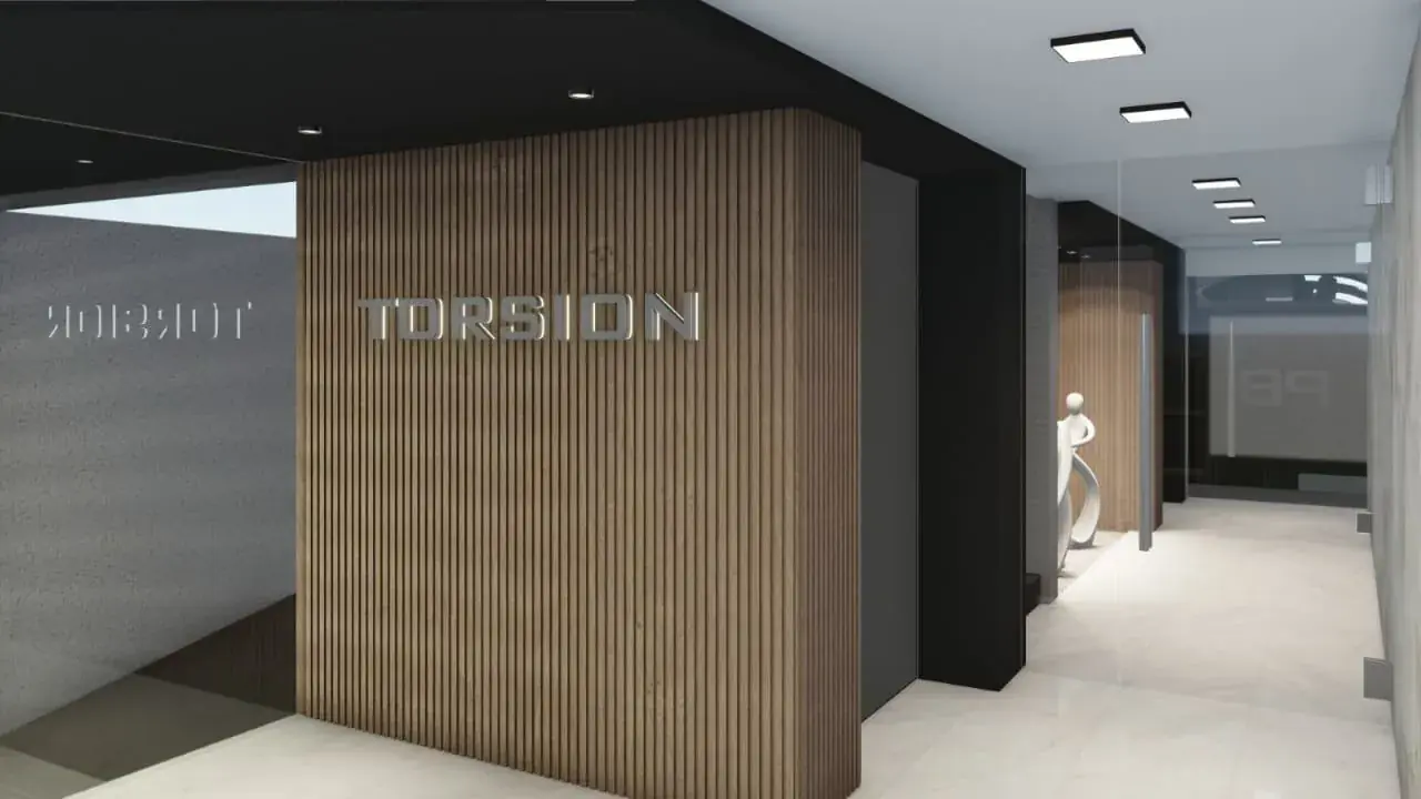 Proyecto Torsion — foto 18